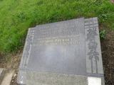 image of grave number 846365